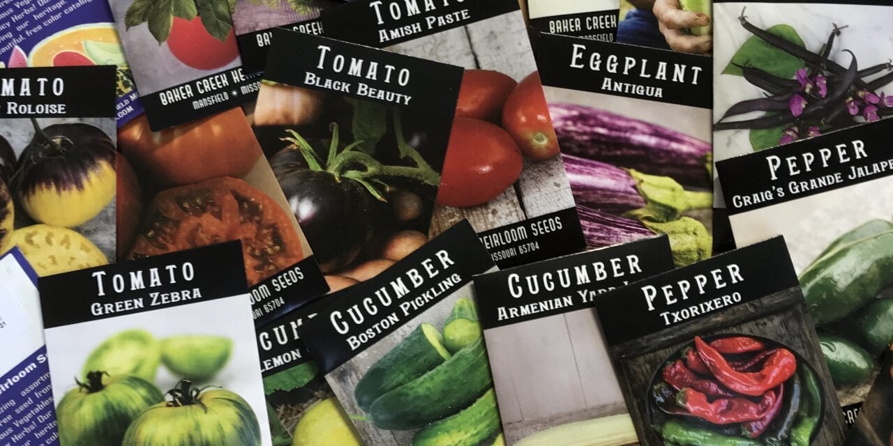 The Easiest Way To Start Seeds Indoors