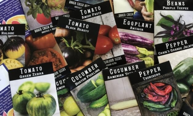The Easiest Way To Start Seeds Indoors