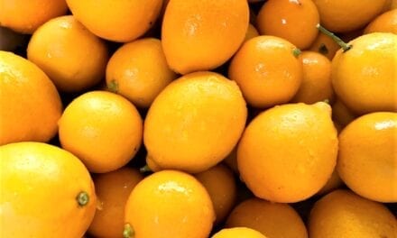 So. Many. Lemons.