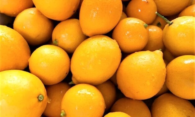 So. Many. Lemons.