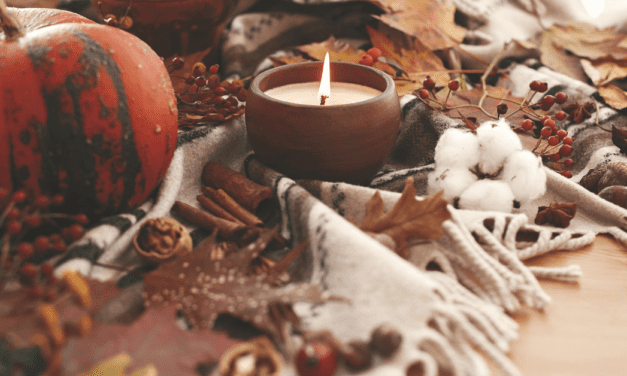 Cozy Comforts Of Home