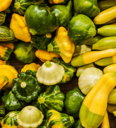lots of zucchini squash