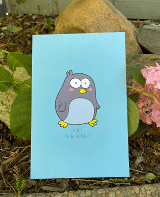 325 x 400 Notebook for webpage (1)