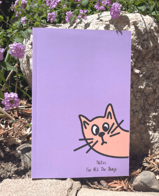 325 x 400 Notebook for webpage (6)